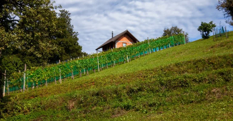 découvrez comment construire une plateforme stable sur un terrain en pente, avec des conseils et techniques pour assurer sécurité et durabilité.