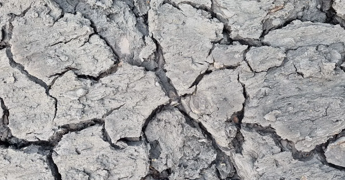 découvrez l'importance de l'humidité du sol pour l'agriculture, le jardinage et la gestion des ressources en eau. apprenez comment mesurer et optimiser l'humidité du sol pour des cultures saines et durables.