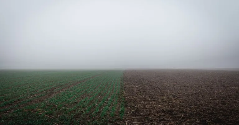 découvrez tout sur l'humidité du sol : son importance, les méthodes de mesure et son impact sur l'agriculture et l'environnement.