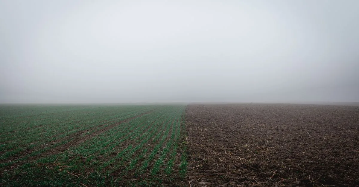 découvrez tout sur l'humidité du sol : son importance, les méthodes de mesure et son impact sur l'agriculture et l'environnement.