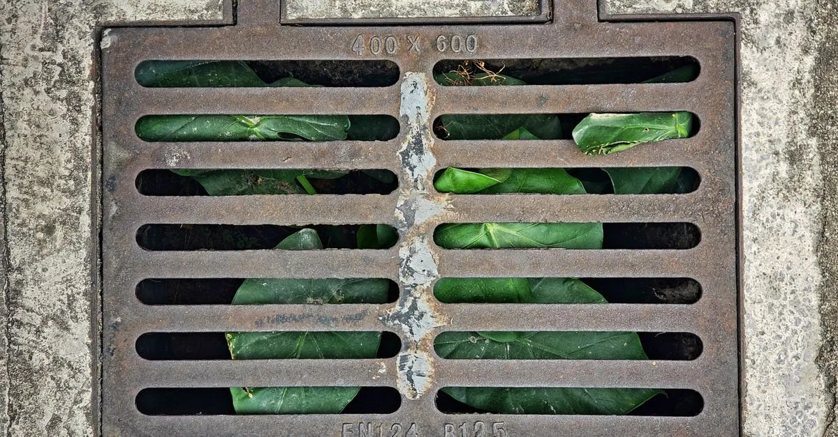 découvrez tout sur le drainage : techniques, avantages et conseils pour un sol sain et bien irrigué.