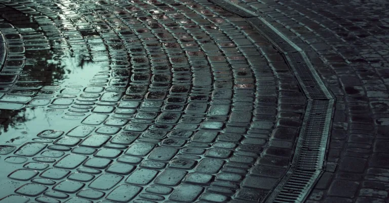 découvrez tout sur le drainage : techniques, avantages et conseils pour évacuer efficacement l'eau et préserver vos sols.