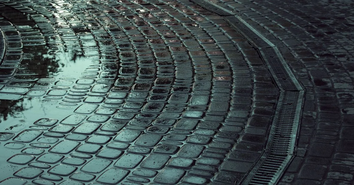 découvrez tout sur le drainage : techniques, avantages et conseils pour évacuer efficacement l'eau et préserver vos sols.