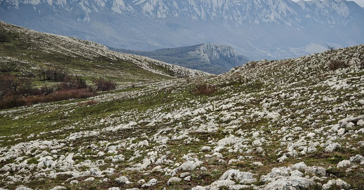 préparation du terrain rocheux : techniques et conseils pour aménager efficacement un sol difficile et assurer une base stable pour vos projets.