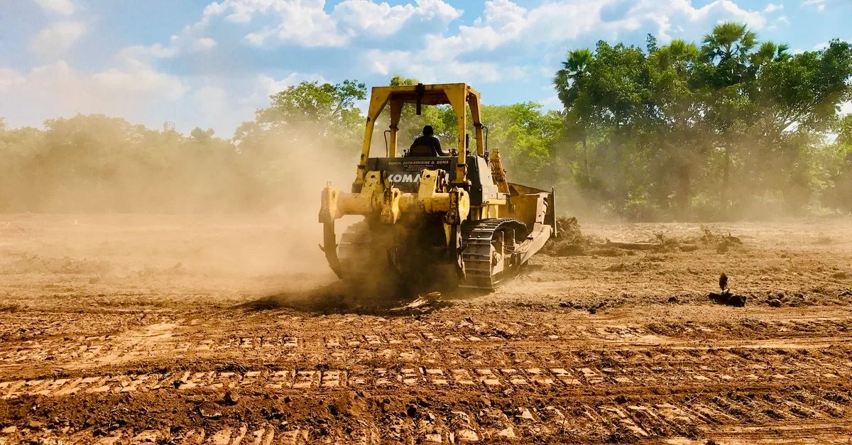 découvrez tout sur l'épaisseur du sol de surface à enlever pour vos projets de construction ou d'aménagement paysager. guide complet et conseils pratiques.