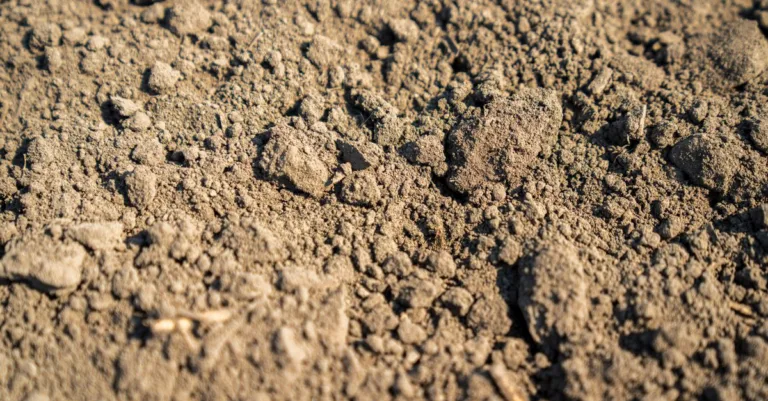 découvrez les meilleures pratiques pour l'enlèvement de l'épaisseur de la couche arable afin d'optimiser vos projets de construction et d'aménagement.