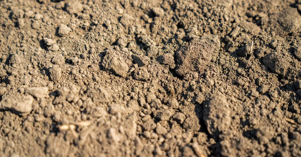 découvrez les meilleures pratiques pour l'enlèvement de l'épaisseur de la couche arable afin d'optimiser vos projets de construction et d'aménagement.