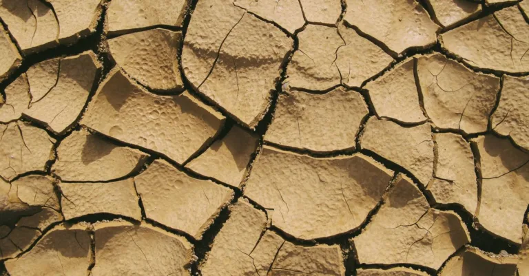 découvrez comment reconnaître un sol argileux grâce à sa texture, sa rétention d’eau et les signes visibles dans votre jardin.