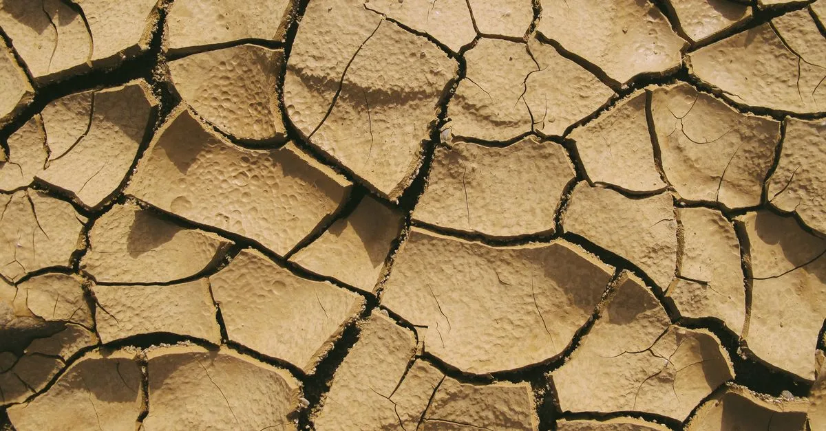 découvrez comment reconnaître un sol argileux grâce à sa texture, sa rétention d’eau et les signes visibles dans votre jardin.