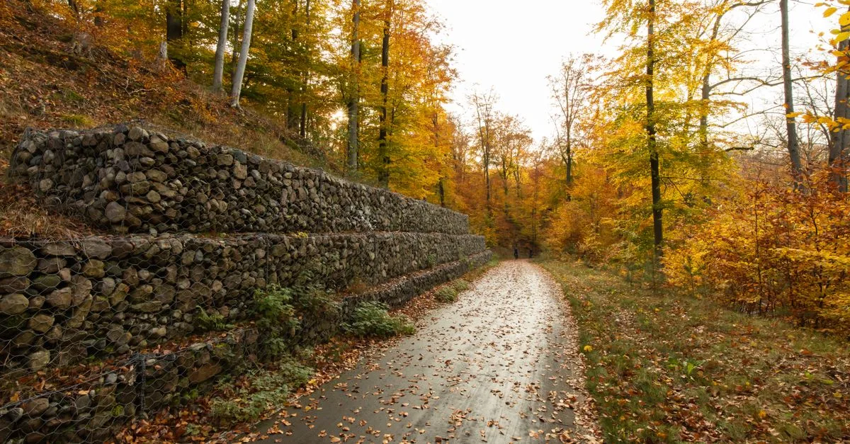 découvrez comment un mur de soutènement peut stabiliser les sols, prévenir l'érosion et embellir votre aménagement extérieur.
